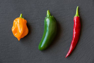 siyah arka plan üzerinde renkli biber