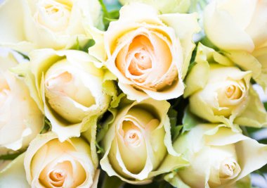 Beyaz ahşap üzerinde bir buket taze beyaz gül