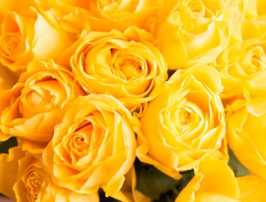 Güzel sarı güller buketi 