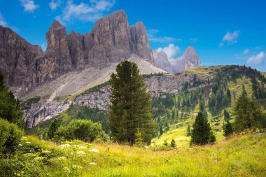 Dağların güzel manzarası