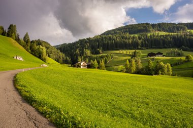 Arkasında ağaçlar olan yeşil çayır