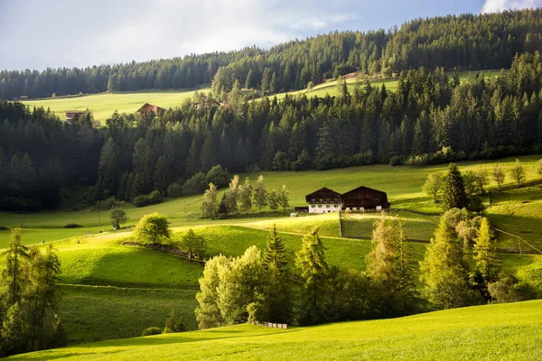 緑の木々と山々の美しい風景 — ストック写真
