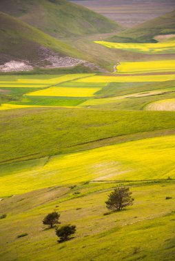 Dağlarda yeşil vadisi olan güzel bir manzara.