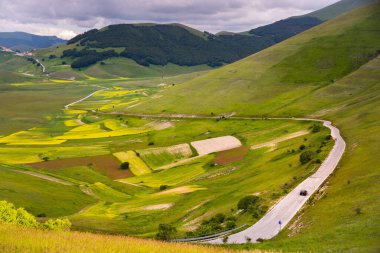 Dağlarda yeşil vadisi olan güzel bir manzara.