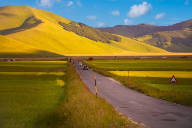 Yeşil çimenli ve yolu olan güzel bir manzara.