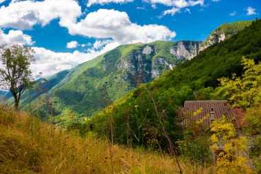 Yazın dağların güzel manzarası