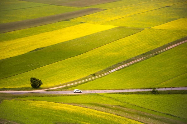 鸟瞰美丽的绿色田野 有车经过 — 图库照片