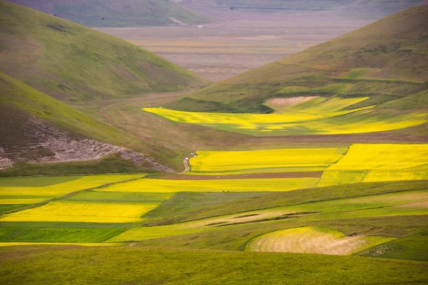 Beautiful Landscape Green Valley Mountains — Stockfoto