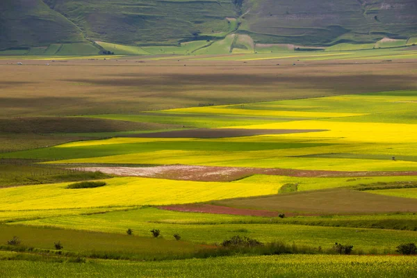 Beautiful Landscape Green Meadows — Φωτογραφία Αρχείου