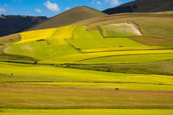 Beautiful Landscape Green Valley Mountains — Stockfoto