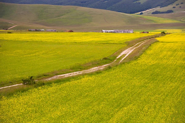 Vackert Landskap Med Gröna Ängar — Stockfoto