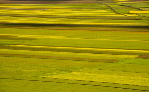 Beautiful Landscape Green Meadows — Stock Photo, Image