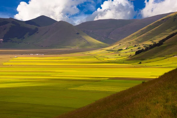 Beautiful Landscape Green Valley Mountains — Foto de Stock