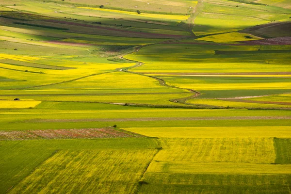 Vackert Landskap Med Gröna Ängar — Stockfoto