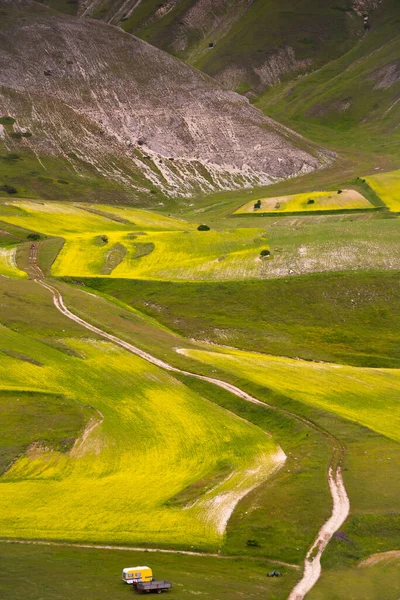 Красивый Пейзаж Зелеными Лугами — стоковое фото