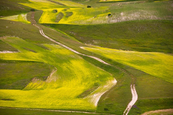 Vackert Landskap Med Gröna Ängar — Stockfoto