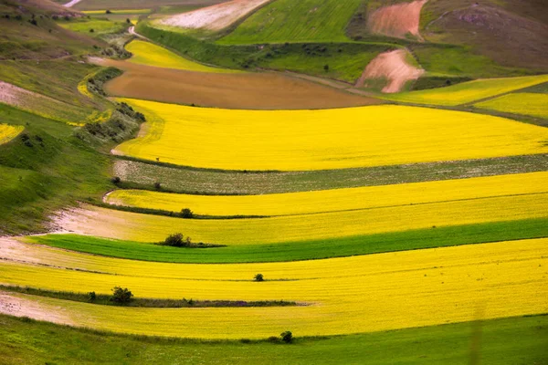 Vackert Landskap Med Gröna Ängar — Stockfoto