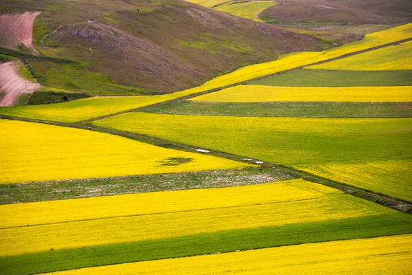 Vackert Landskap Med Gröna Ängar — Stockfoto