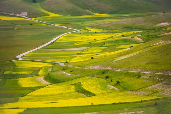 Beautiful Landscape Green Meadows — Fotografia de Stock