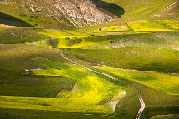 Vackert Landskap Med Ett Grönt Fält — Stockfoto
