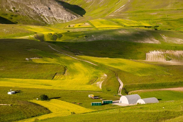 Prachtig Landschap Met Een Groen Veld — Stockfoto
