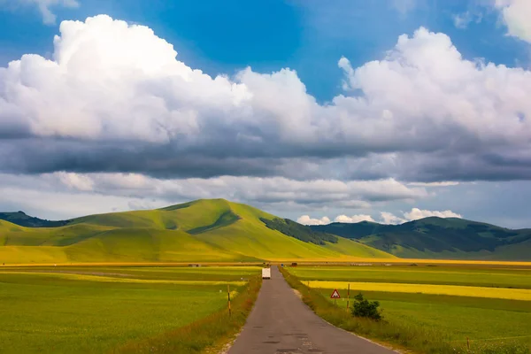 Beautiful Landscape Field Green Grass Cloudy Sky — Stock Photo, Image