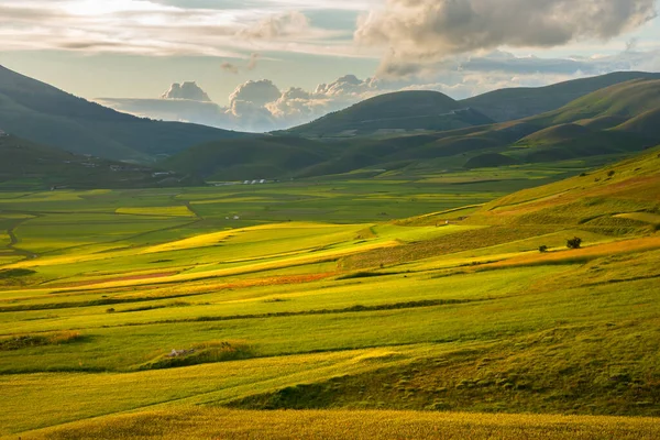 Schöne Landschaft Mit Grünen Wiesen — Stockfoto