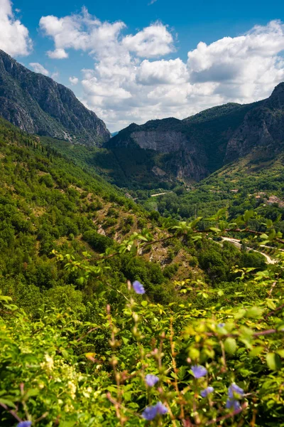 Prachtig Landschap Van Bergen Zomer — Stockfoto