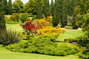Yeşil çimenleri ve ağaçları olan güzel bir park.