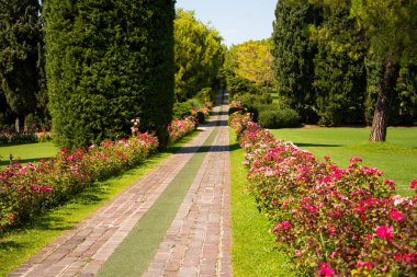 Yazın İtalya 'da güzel Sigurta yeşil parkı