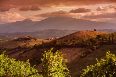 Tepeler, şaraphaneler ve şarap üreten üzüm bağlarına panoramik manzara