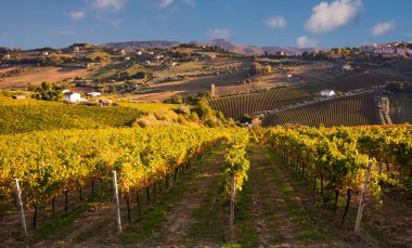 Tepeler, şaraphaneler ve şarap üreten üzüm bağlarına panoramik manzara