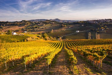 Tepeler, şaraphaneler ve şarap üreten üzüm bağlarına panoramik manzara