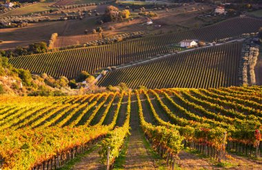 Tepeler, şaraphaneler ve şarap üreten üzüm bağlarına panoramik manzara