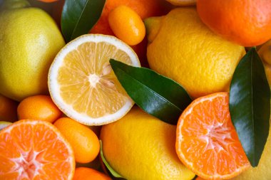 Karışık narenciye, olgun ve yeşil yapraklı taze.
