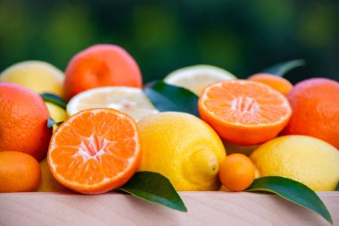 Karışık narenciye, olgun ve yeşil yapraklı taze.