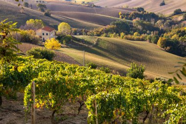 Kırsal alan, tarlalar ve kır evleri ile sonbaharda