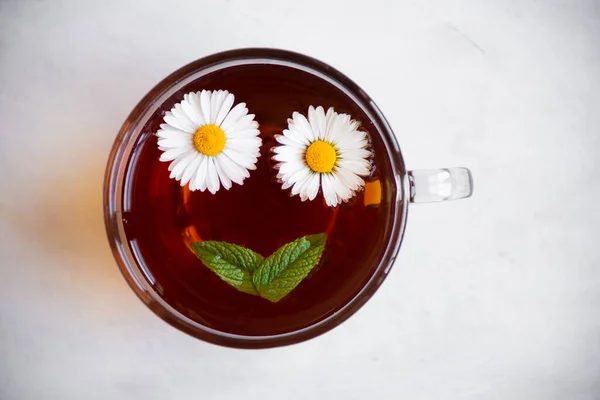 Cup Chamomile Tea Natural Herbal Drink — Stok fotoğraf