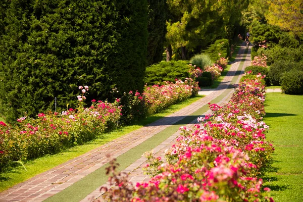 Beau Parc Vert Sigurta Italie Été — Photo