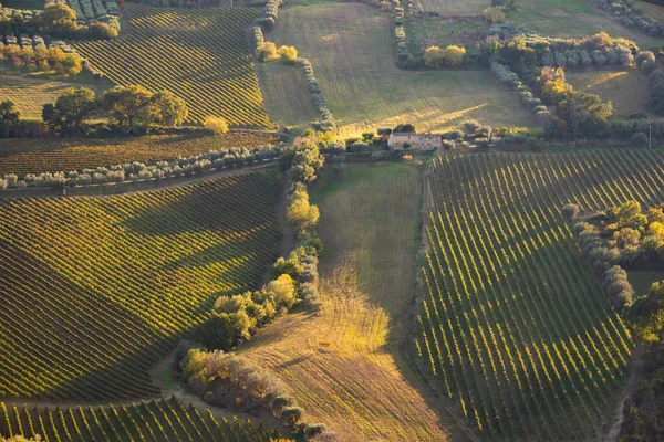 Panoramic View Vineyard Hills Winery Wine Producing — Stock Photo, Image