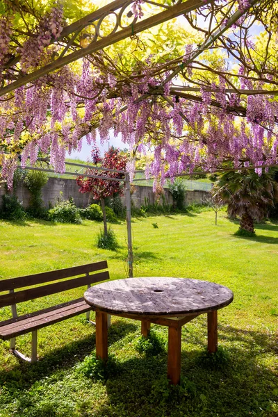 gazebo covered with flowers with wooden furniture , shady place to relax in summer garden