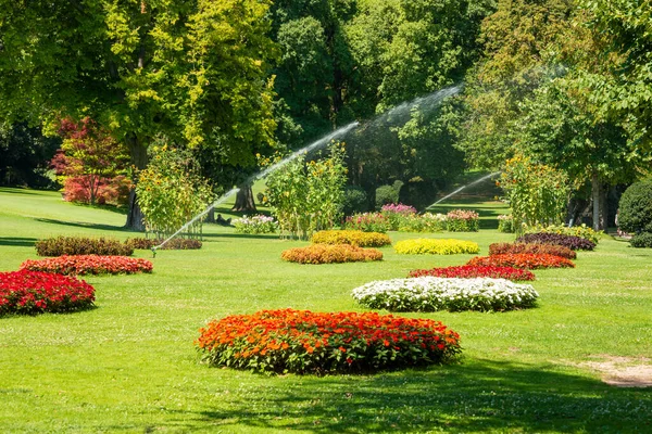 Beautiful Garden Flowers Park — Stock Photo, Image