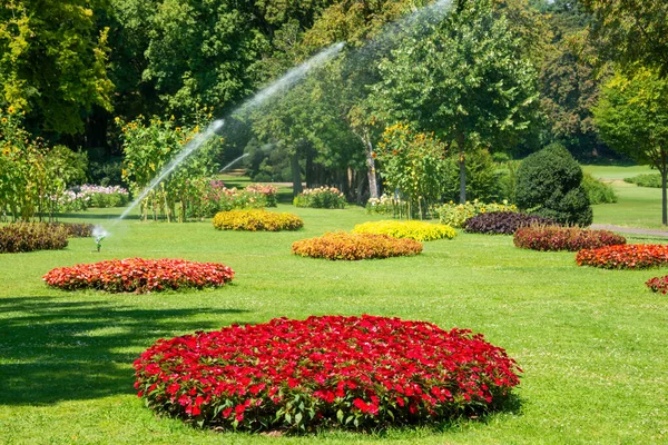 stock image beautiful garden in the park with flowers