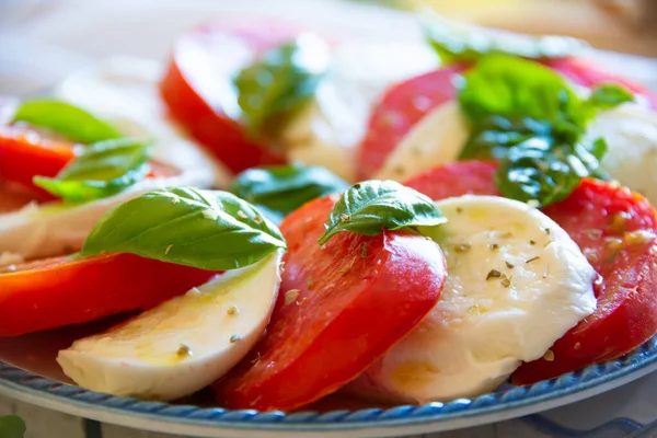 Peynirli Domatesli Fesleğenli Caprese Salatası — Stok fotoğraf