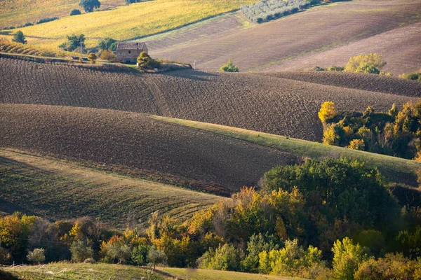 Rural Landscape Fall Fields Country House — Foto de Stock