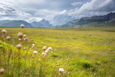 Arkasında bir dağ olan güzel bir manzara.