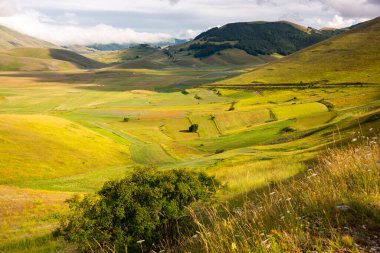 Dağların güzel manzarasının manzarası.