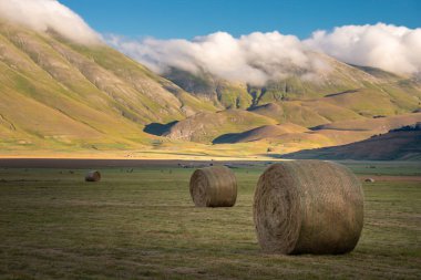 Yazın saman balyalarıyla kırsal alan
