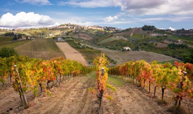 Tepeler, kırsal alanlar arasında üzüm bağları ve şaraphane
