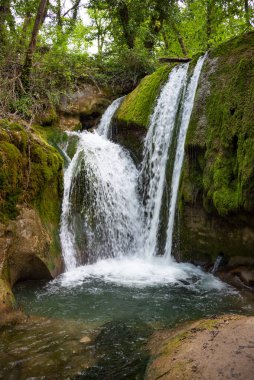 Ağaçların arasındaki ormanda güzel bir şelale